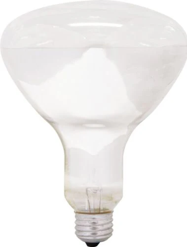 GE 14016-6 65 Watt Floodlight BR40 Light Bulb, Soft White - Cheap-Us