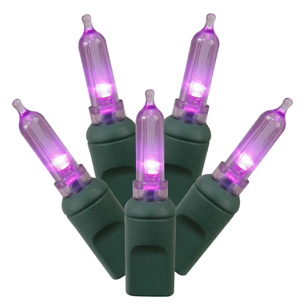 Vickerman 50 Purple Italian LED Light on Green Wire, 25' Christmas Single Mold Light Strand- 2 Pack - Cheap-Us