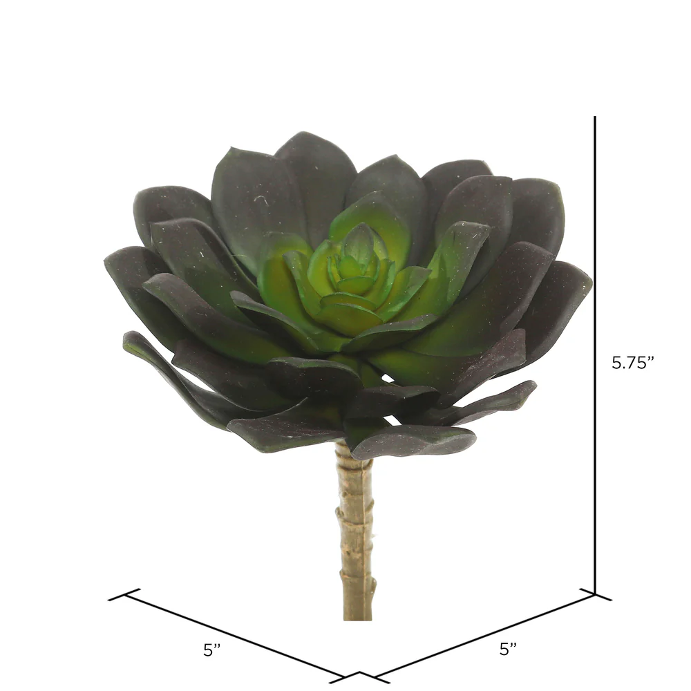 Vickerman 5.75