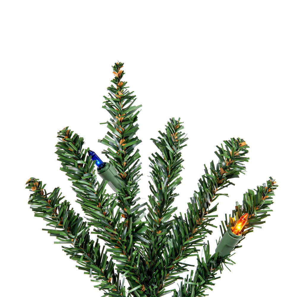 Vickerman 24