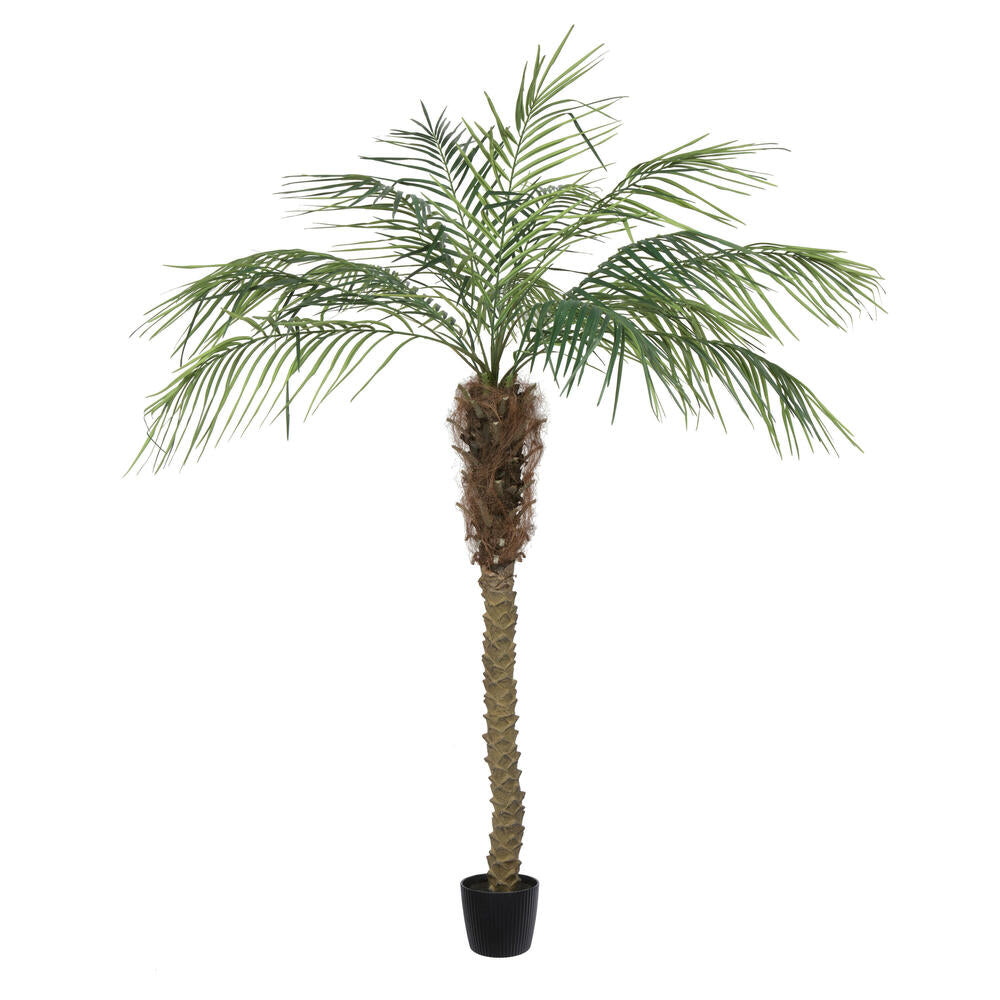 Vickerman 6' Artificial Potted Pheonix Palm Tree. - Cheap-Us