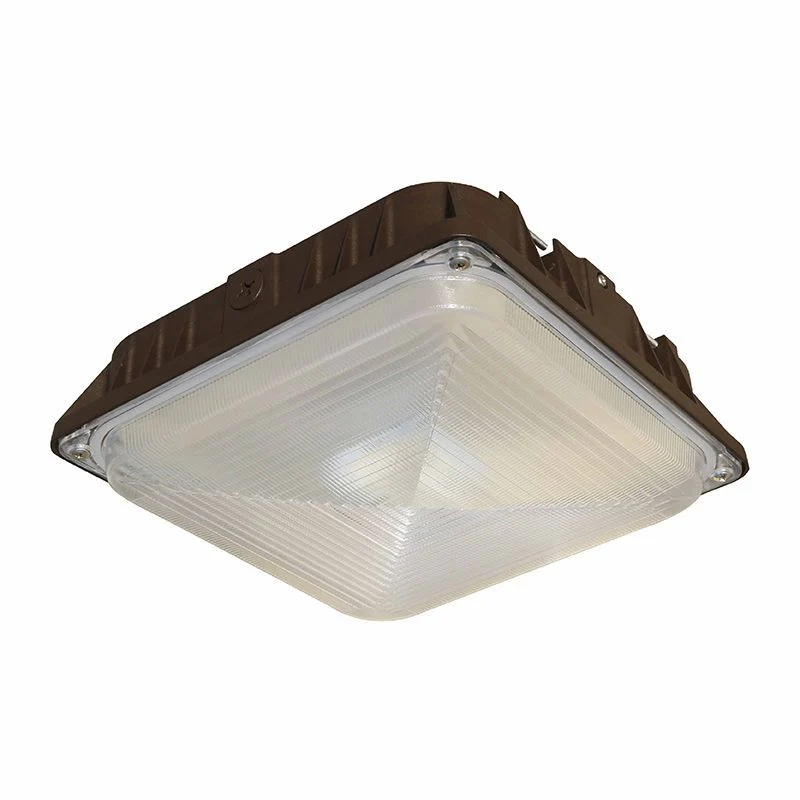 Westgate X-Gen SurFace Canopy Sm Housing Adj. 5W-25W 40K 120-277V 0-10V, Outdoor Lighting, 5W/10W/15W/25W, 120 Lumens/W, 4000K, Bronze 0~10V Dimmable - Cheap-Us