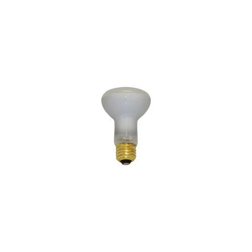 Bulbrite 45R20FL2 45 Watt Incandescent R20 Reflector, Medium Base, Flood, Clear - Cheap-Us