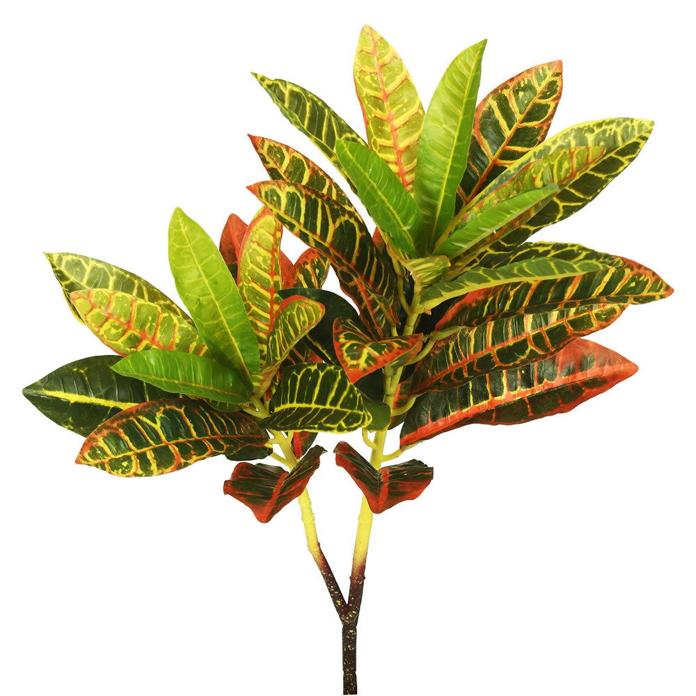Vickerman 23