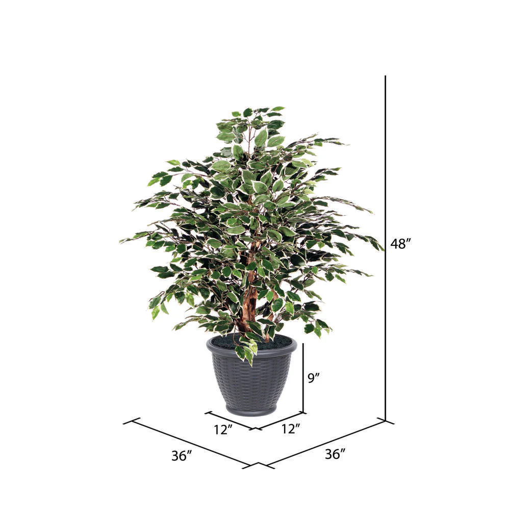Vickerman 4' Artificial Variegated Ficus Extra Full Bush Gray Round Plastic Container. - Cheap-Us