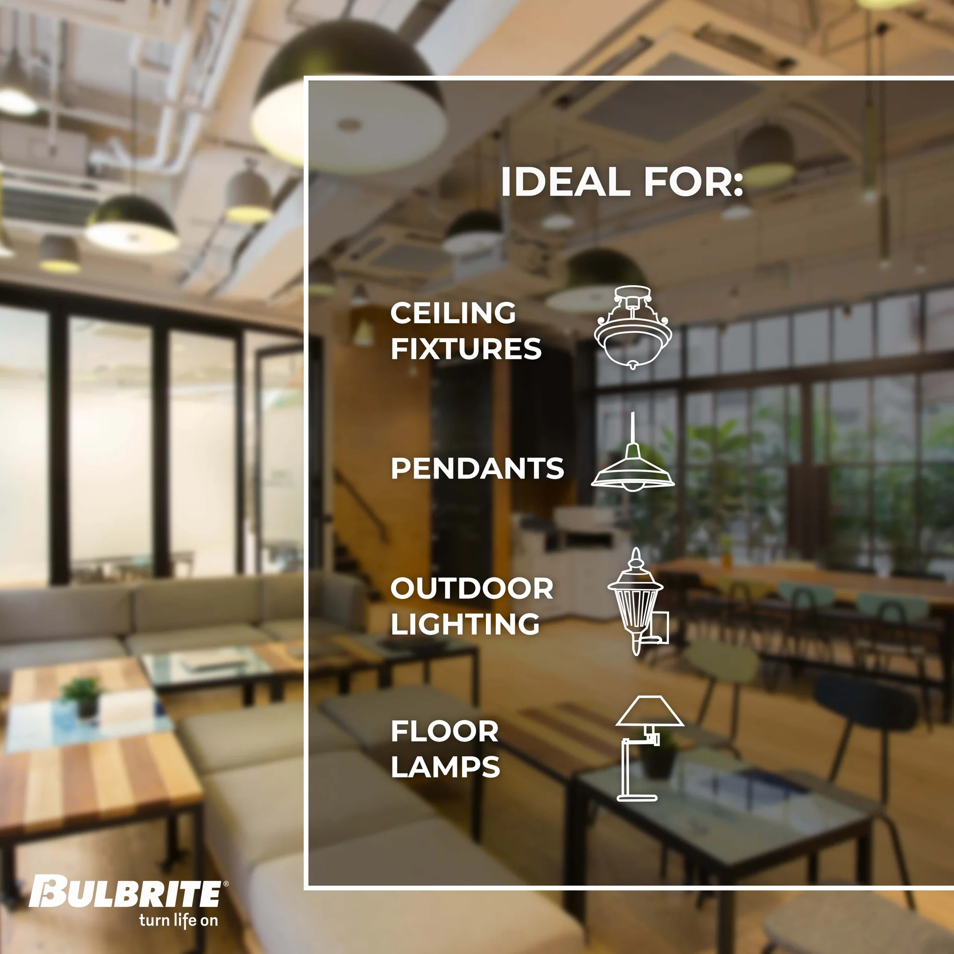 Bulbrite Pack of (8) 7 Watt Dimmable Clear ST18 LED Light Bulbs with Medium (E26) Base, 3000K Soft White Light, 800 Lumens - Cheap-Us