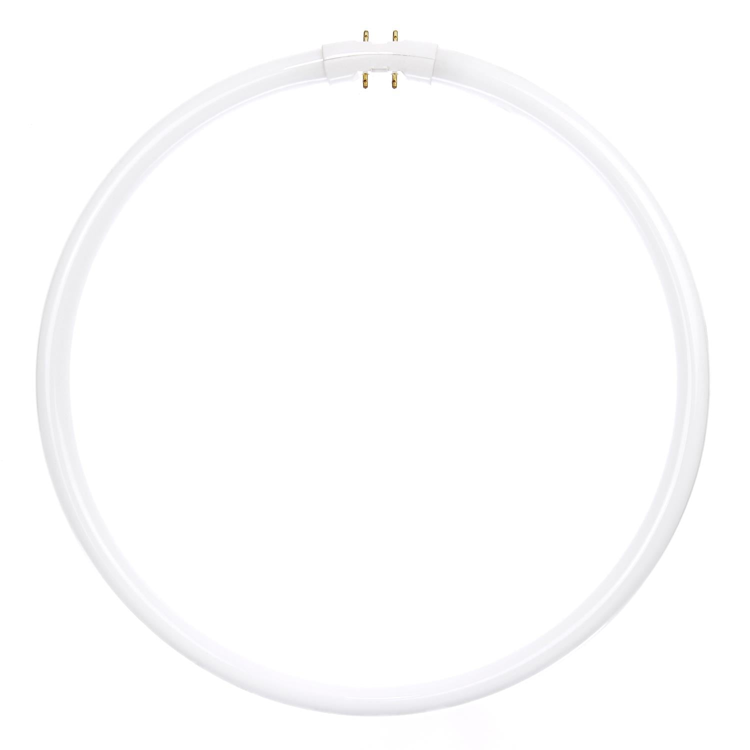 Sunlite 40 Watt T5 Circline, 2GX13 Base, Cool White - Cheap-Us
