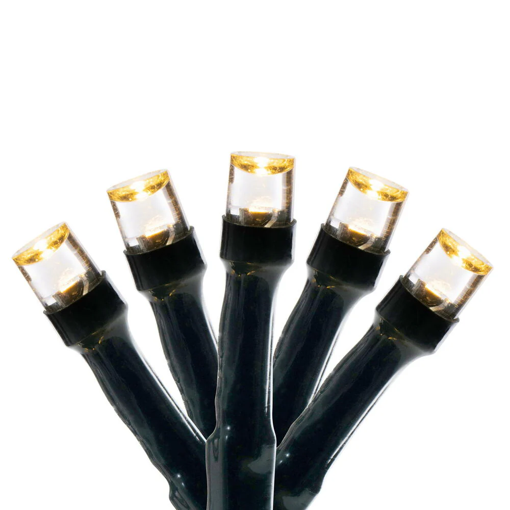 Vickerman 50 LED Warm White Battery Operated Light Set, Green Wire with 5