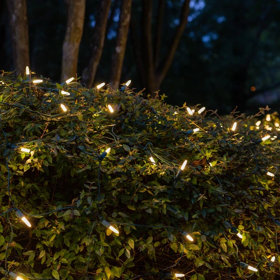 50-LITE RECTIFIED M5 LED LIGHT SET; WARM WHITE BULBS; GREEN WIRE, Approx. 25' 8