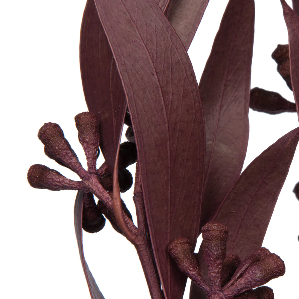 Vickerman Natural Botanicals 15-17