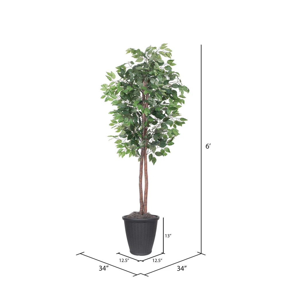 Vickerman 6' Artificial Ficus Tree Gray Round Plastic Container. - Cheap-Us