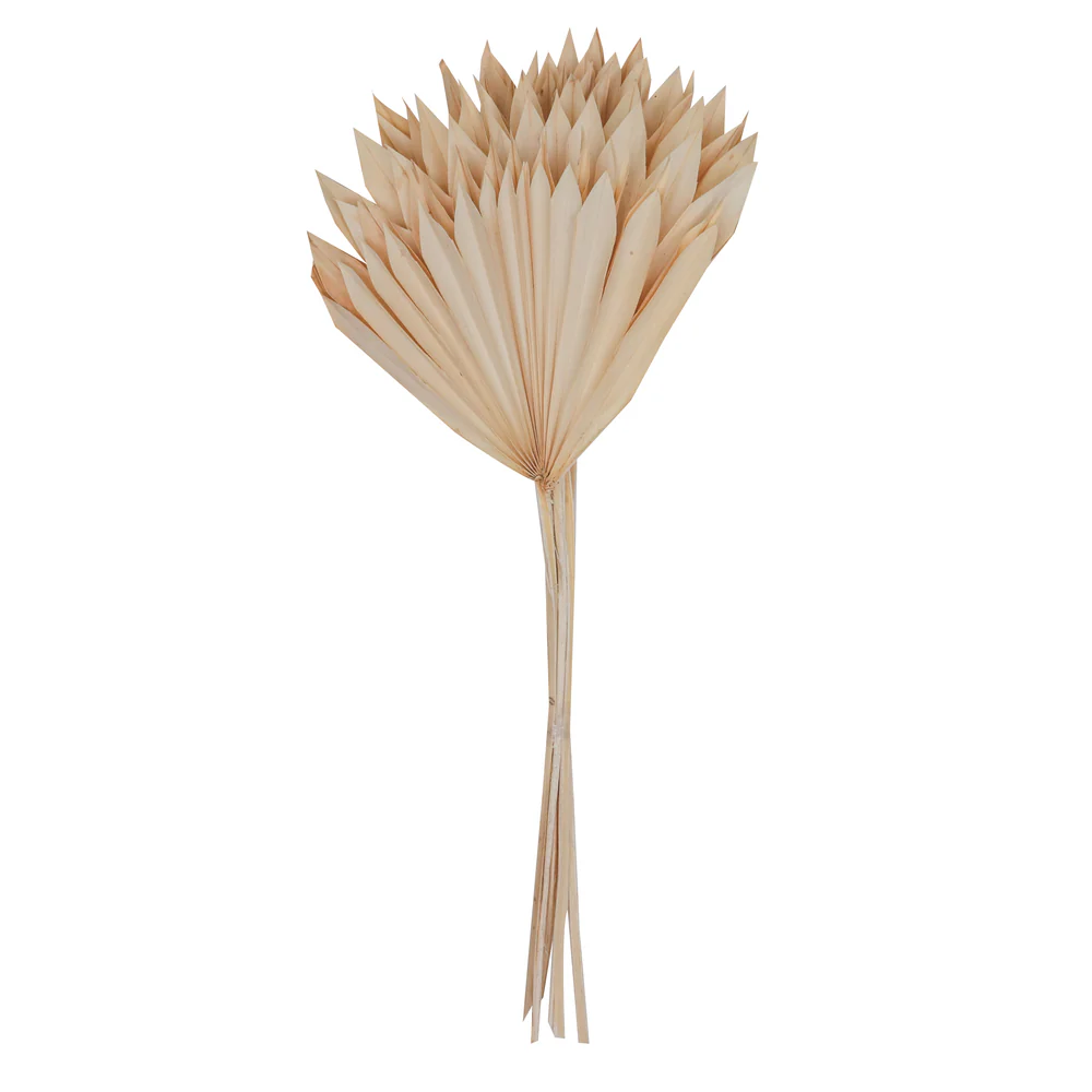 Vickerman Natural Botanicals 20