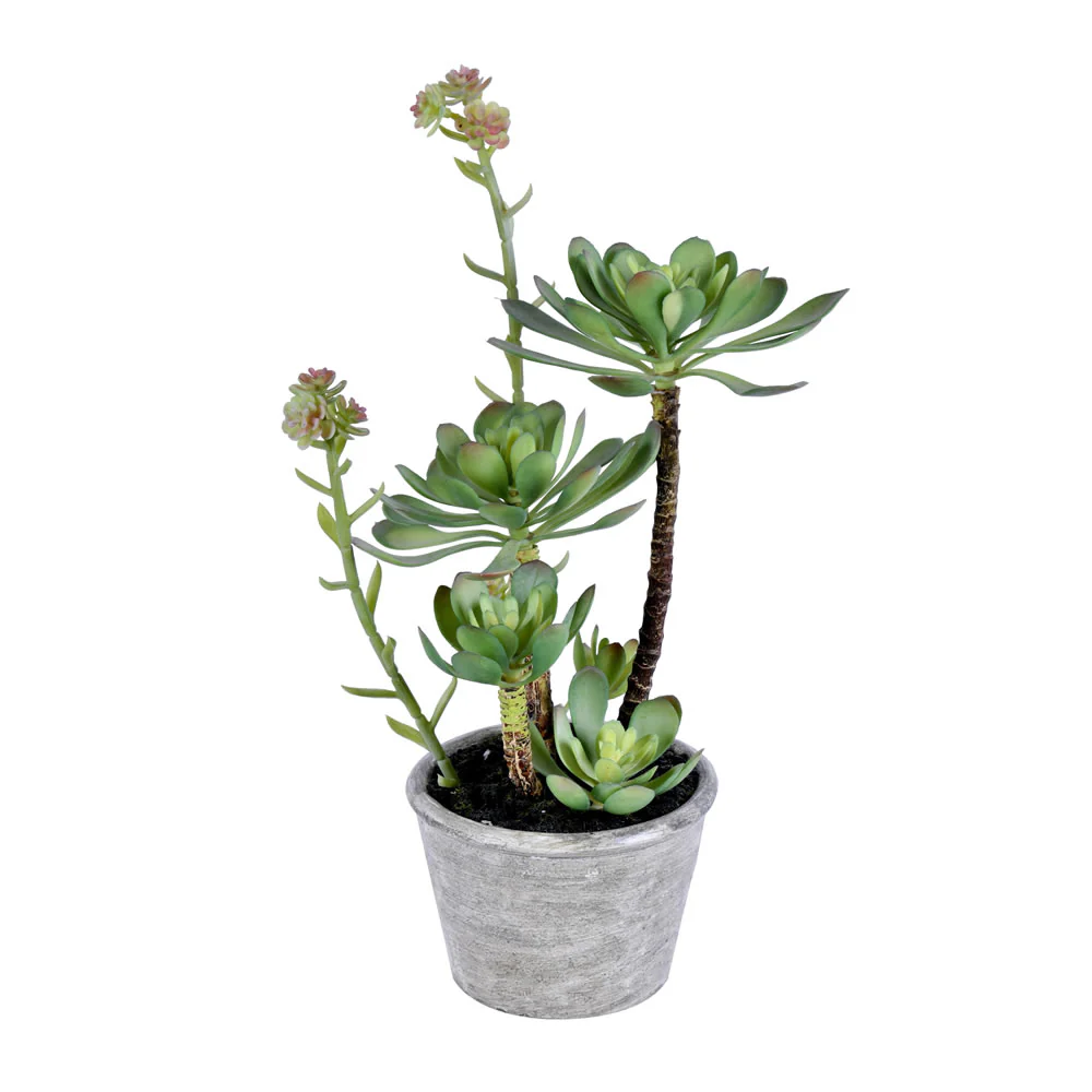 Vickerman 13.5