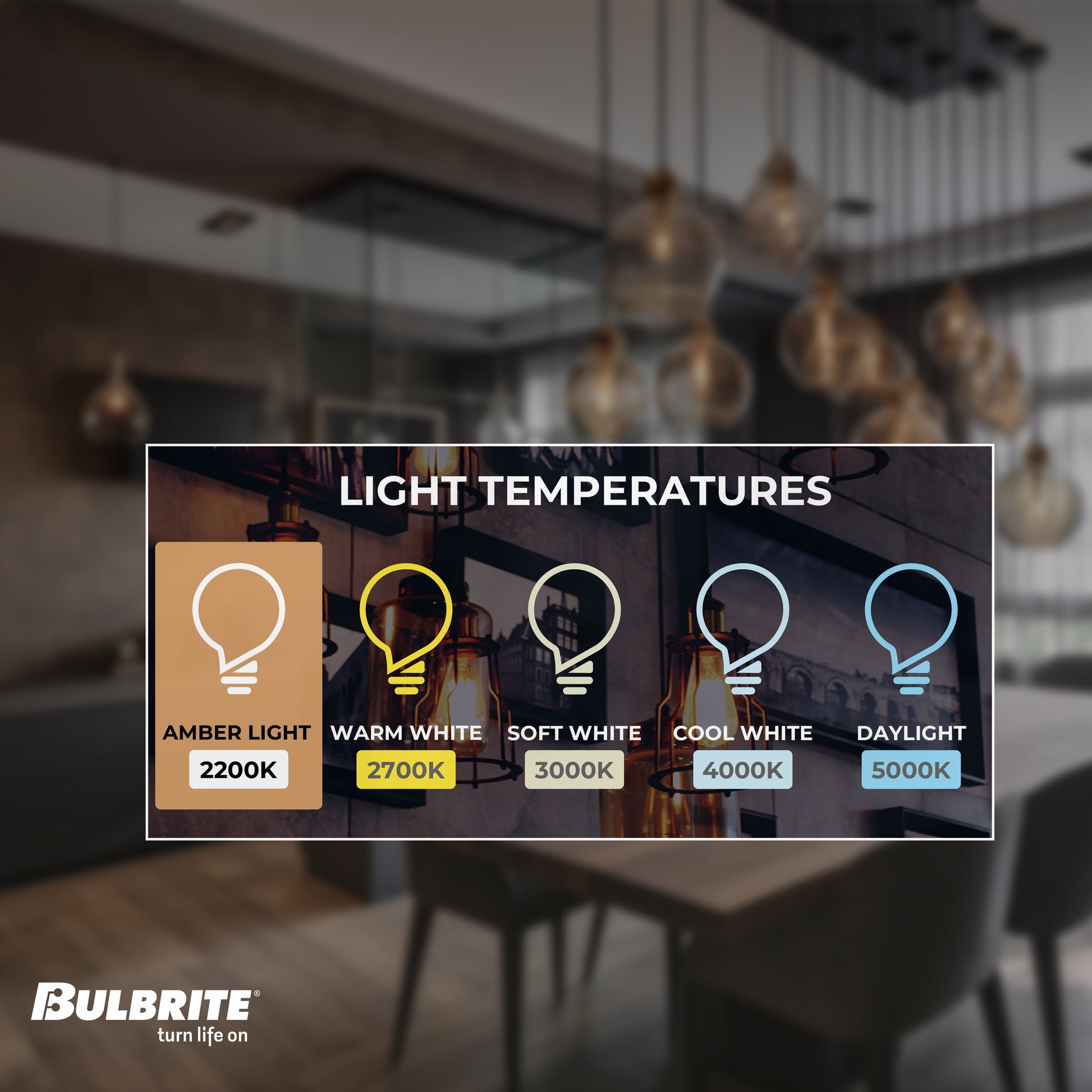 Bulbrite LED Grand Bulb and Pendant Kit of (1) 4 Watt Clear Glass 13