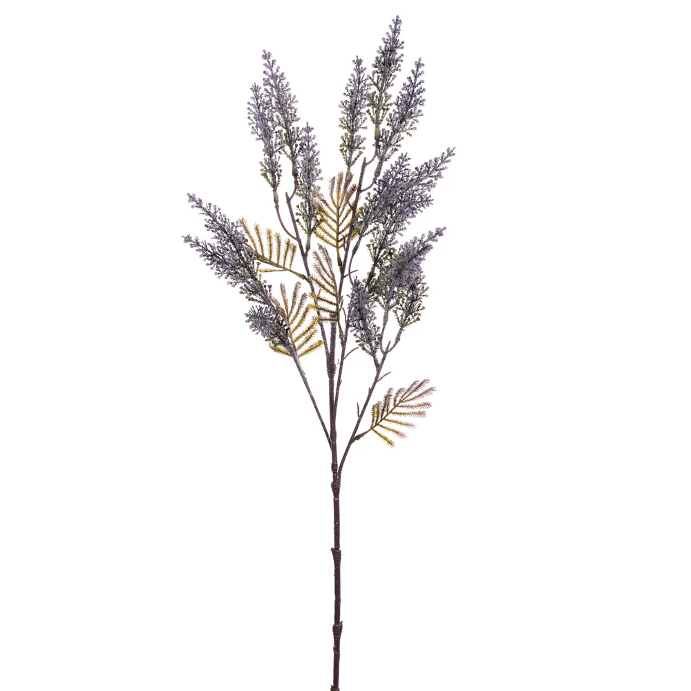 Vickerman 26