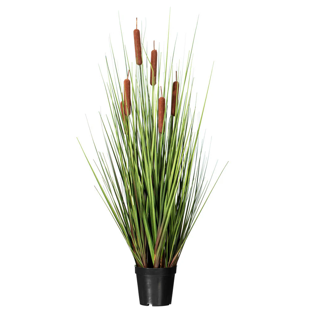 Vickerman 36