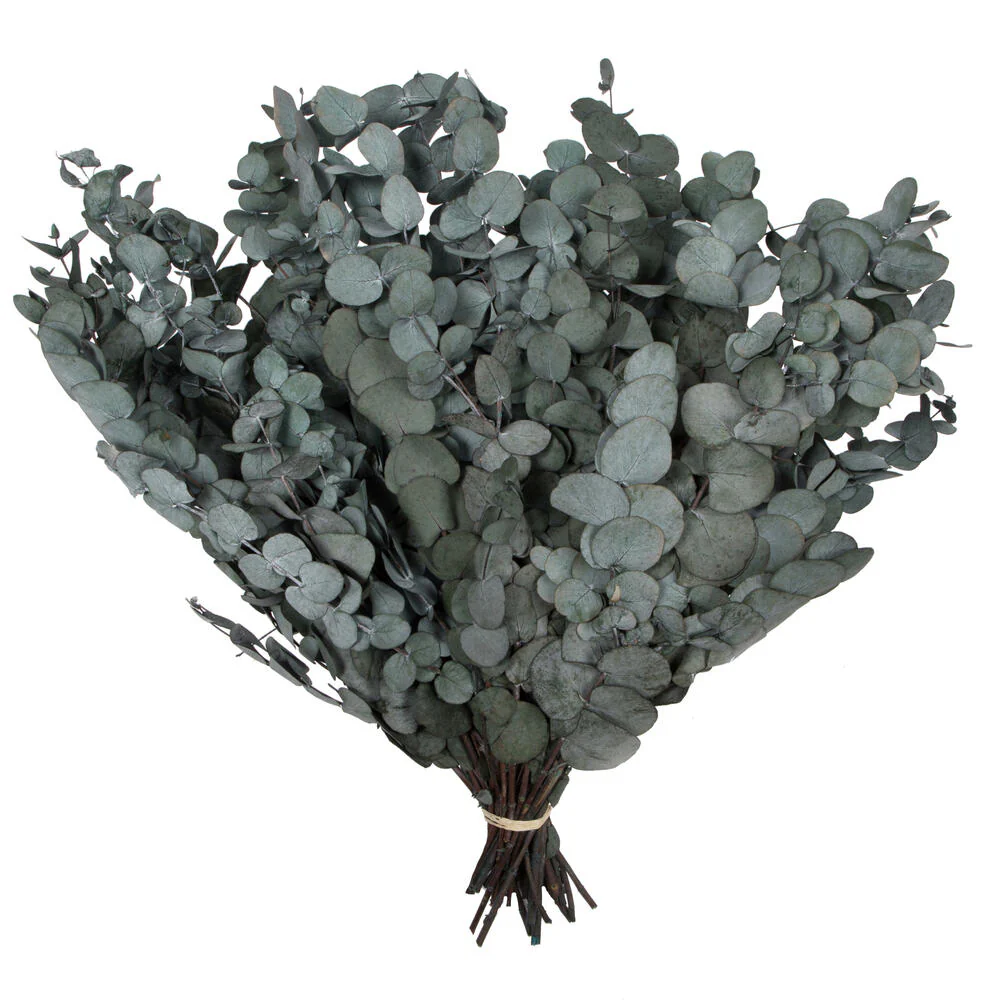 Vickerman Natural Botanicals 18-20