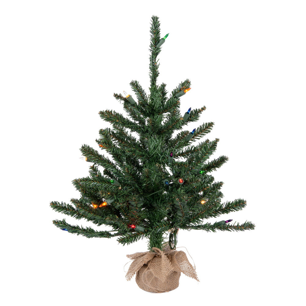 Vickerman 24