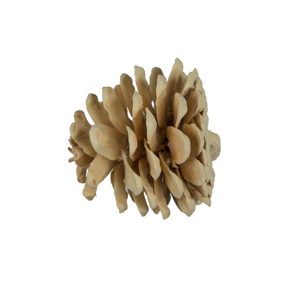 Vickerman Natural Botanicals 1.5