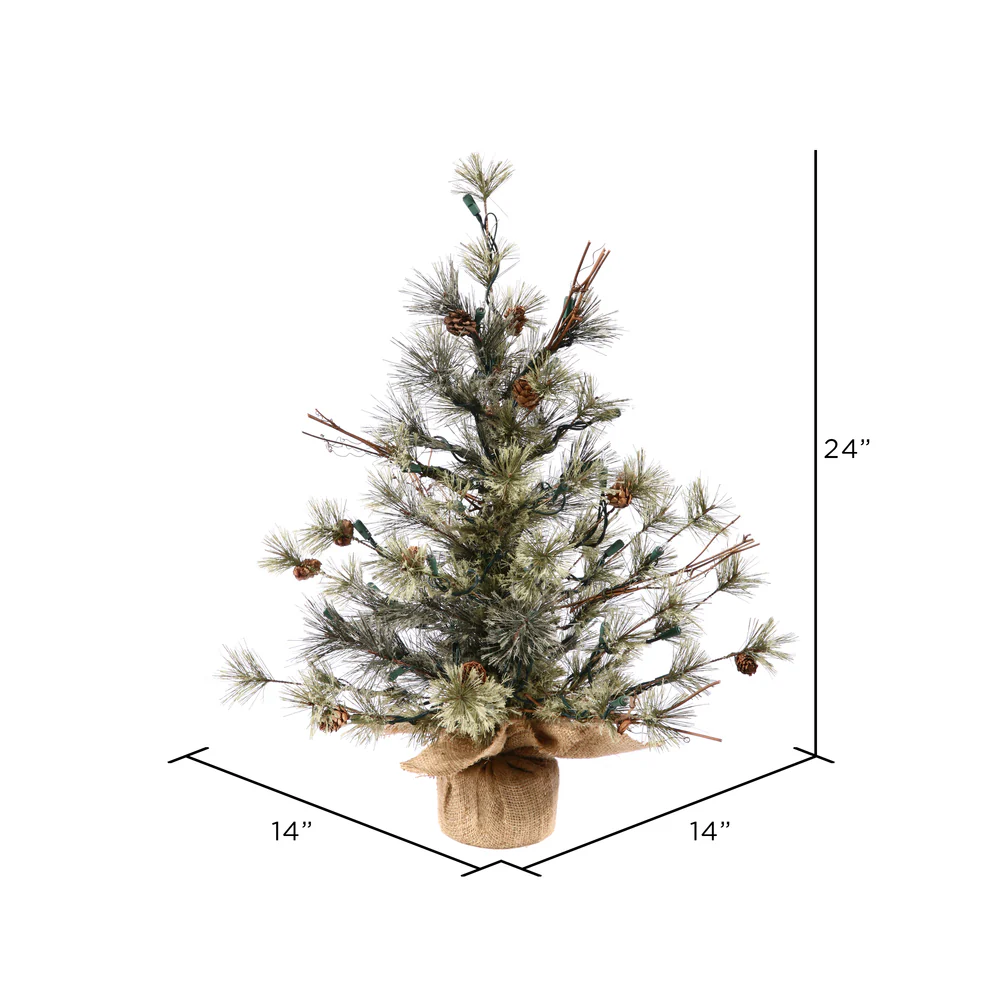 Vickerman 24