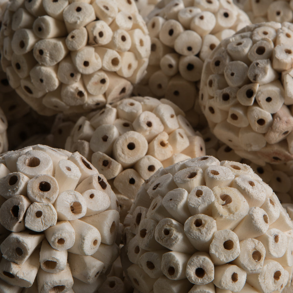 Vickerman Natural Botanicals 2.4