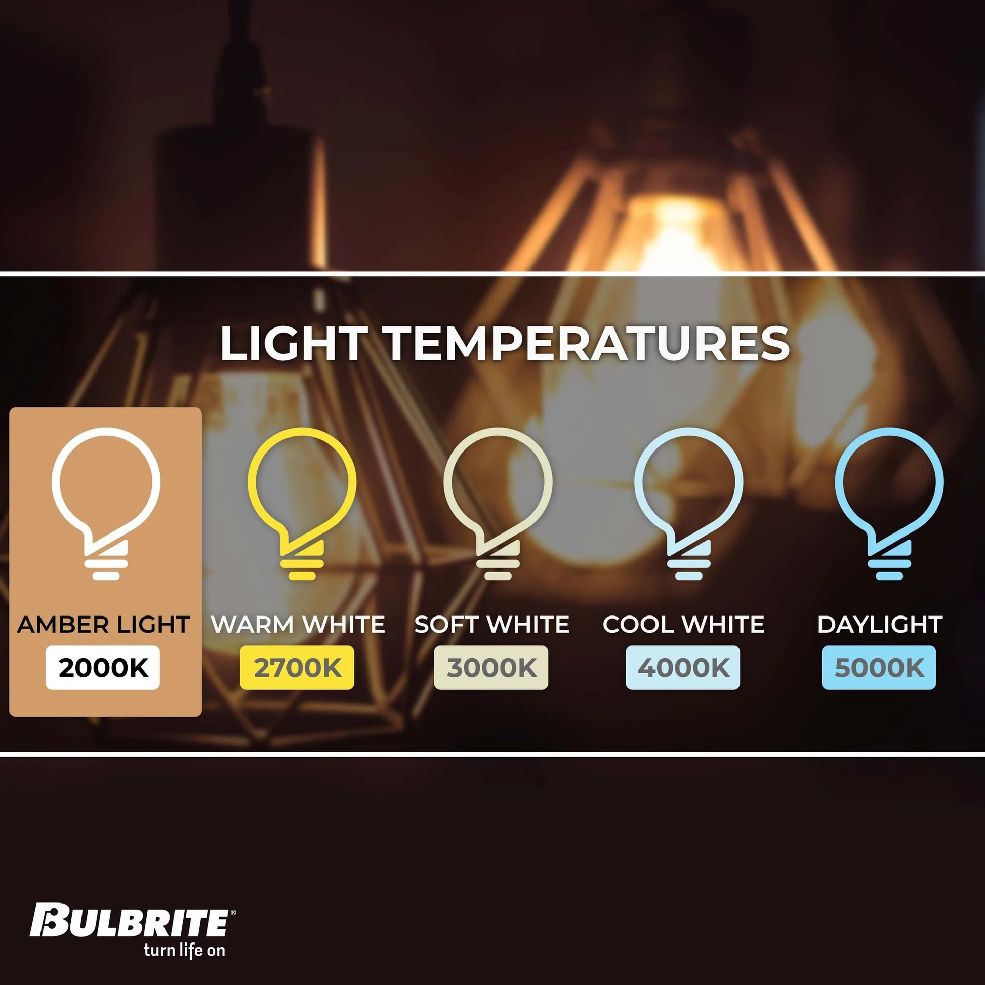 BULBRITE INCANDESCENT G30 MEDIUM SCREW (E26) 40W DIMMABLE NOSTALGIC LIGHT BULB 2200K/AMBER 4PK (342040) - Cheap-Us