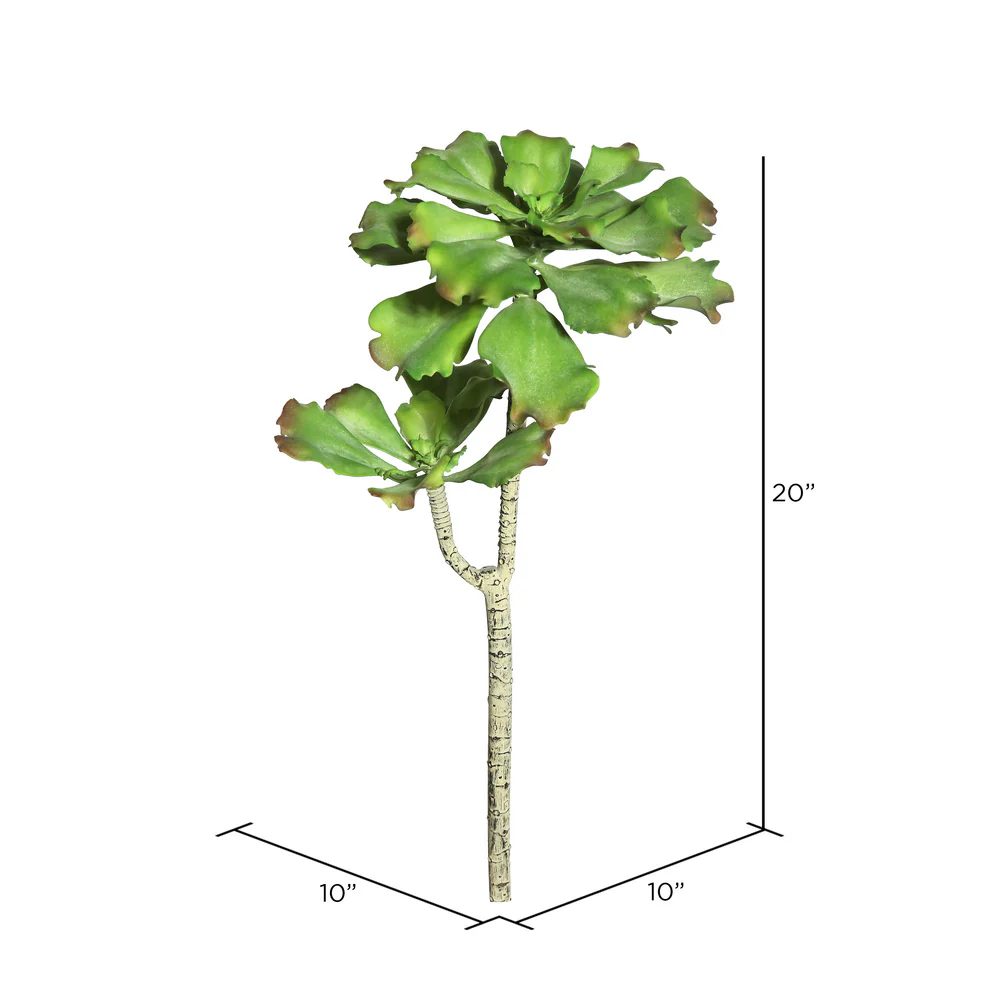 Vickerman 20