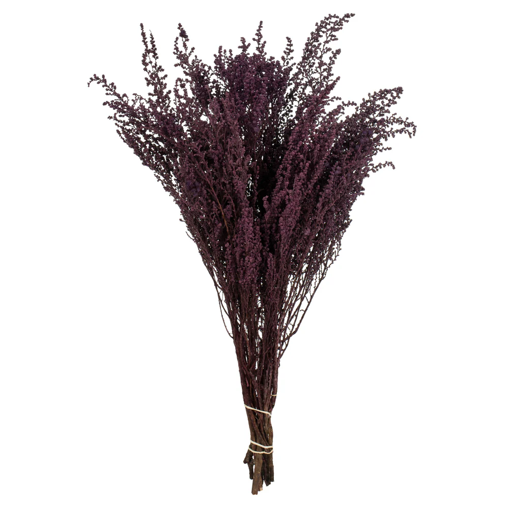 Vickerman 14-18