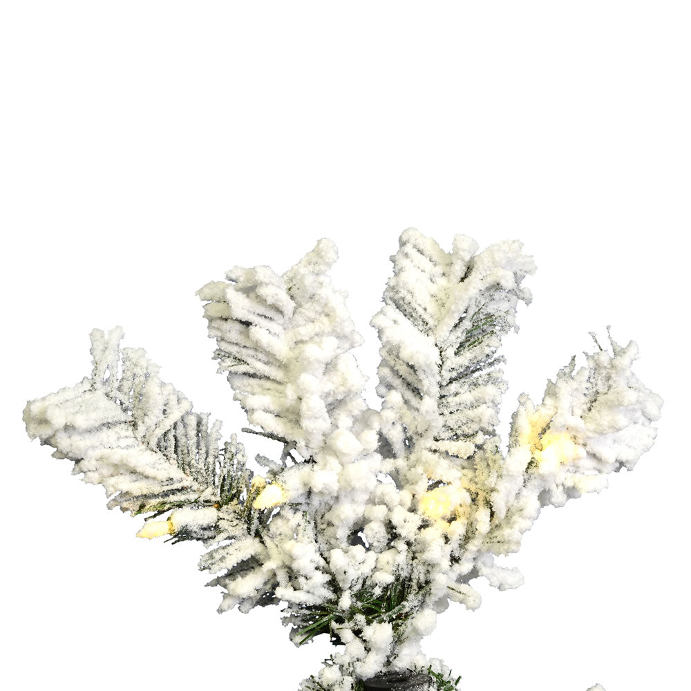 Vickerman 5.5' Flocked Pacific Artificial Christmas Tree Pure White LED Lights - Cheap-Us