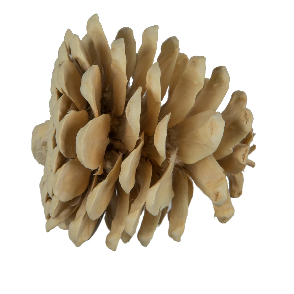 Vickerman Natural Botanicals 2