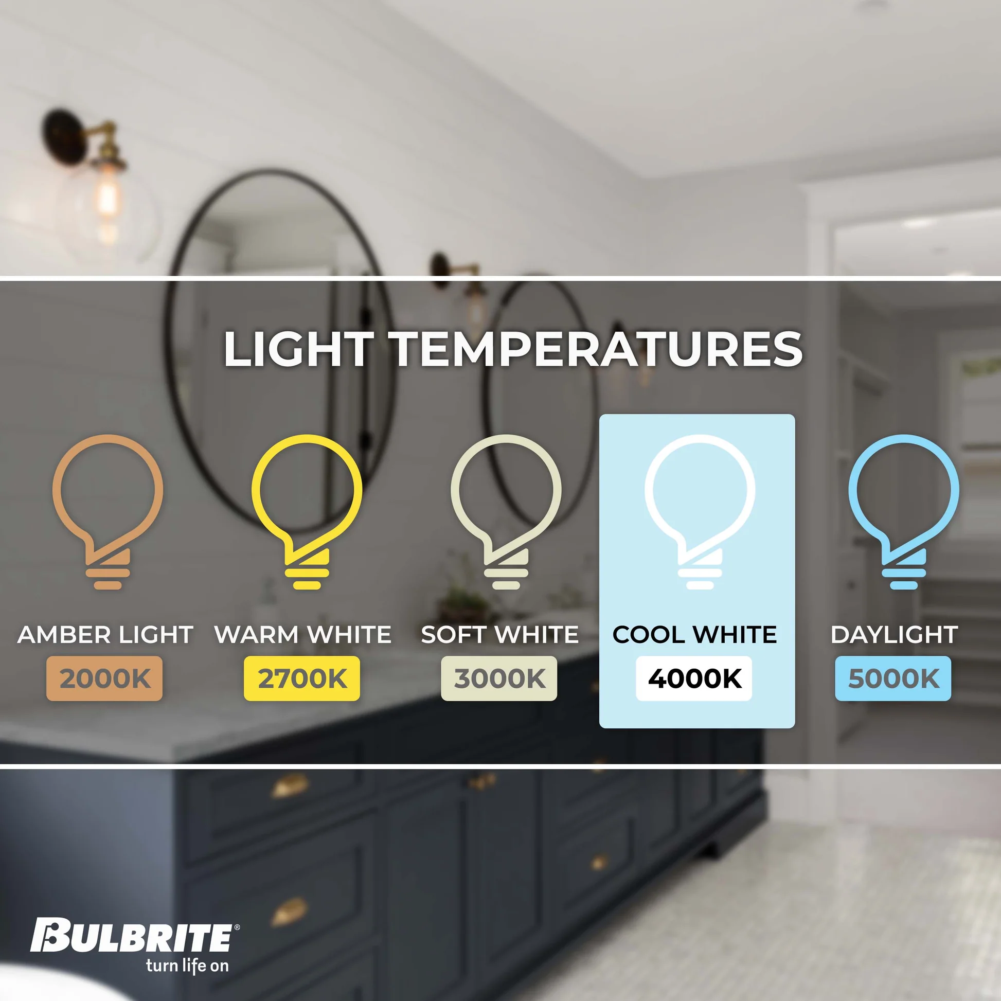 Bulbrite Pack of (8) 7 Watt Dimmable CLEAR Filament ST18 Medium (E26) LED Bulb - 800 Lumens, 4000K, and 80 CRI - Cheap-Us