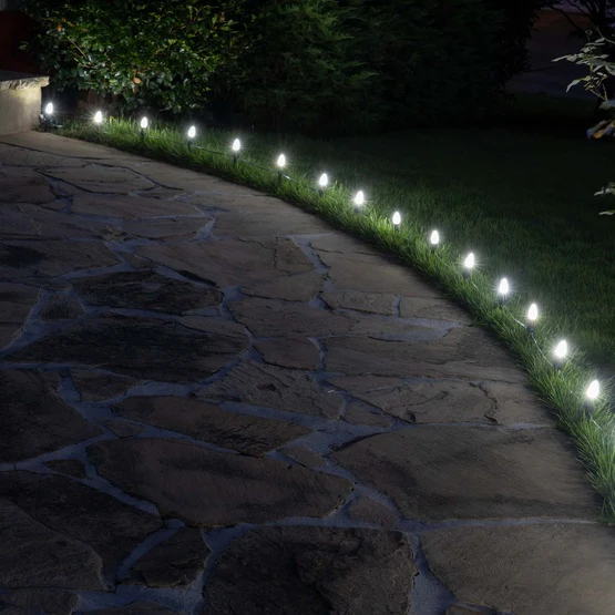 25 Light LED C7 Light Set Pure White Bulbs on Green Wire, Approx. 16'6