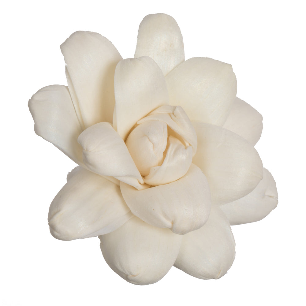 Vickerman Natural Botanicals 1.6