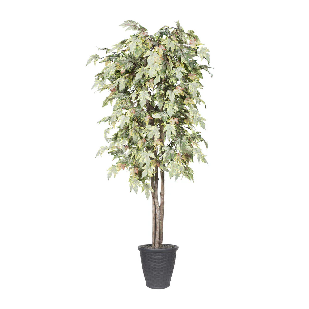 Vickerman 6' Artificial Frosted Maple Deluxe Tree Gray Round Plastic Container. - Cheap-Us