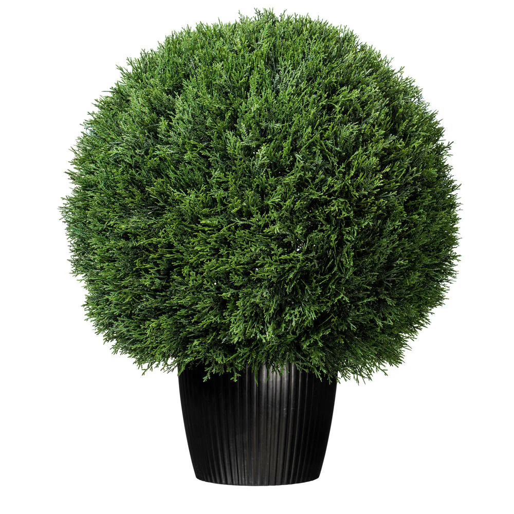 Vickerman 24