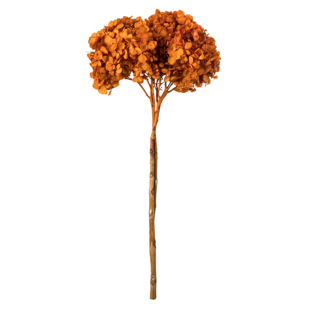 Vickerman 15