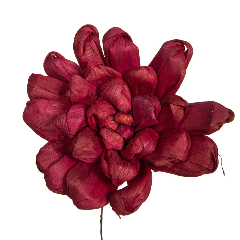 Vickerman Natural Botanicals 6