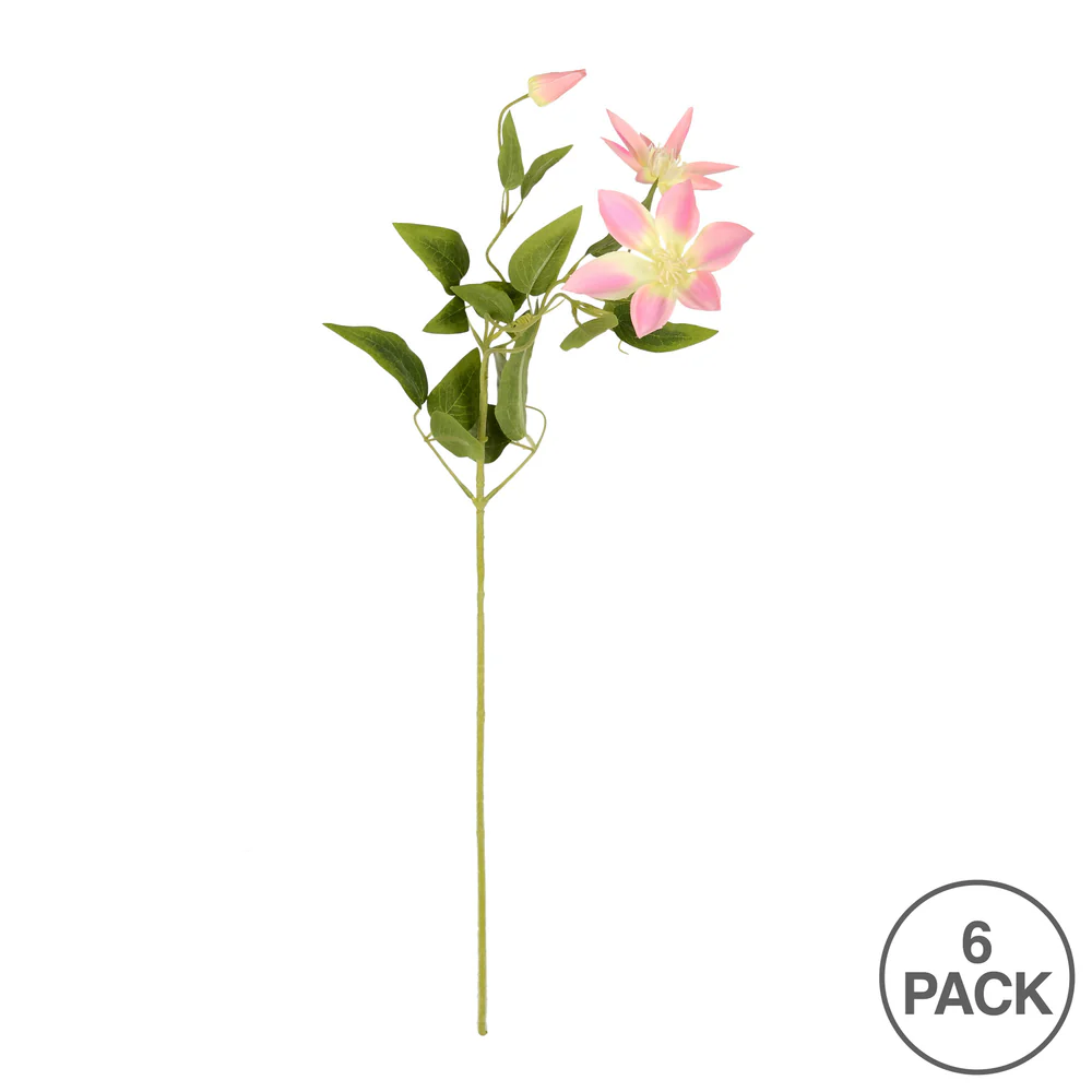Vickerman 28