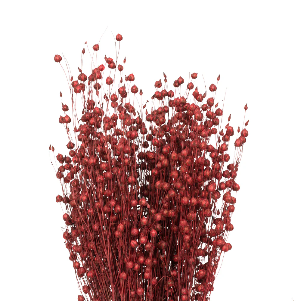 Vickerman Natural Botanicals 20-22