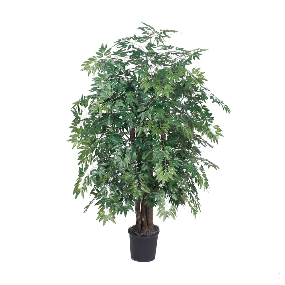 Vickerman 4' Artificial Ming Aralia Extra Full Bush Black Plastic Pot. - Cheap-Us