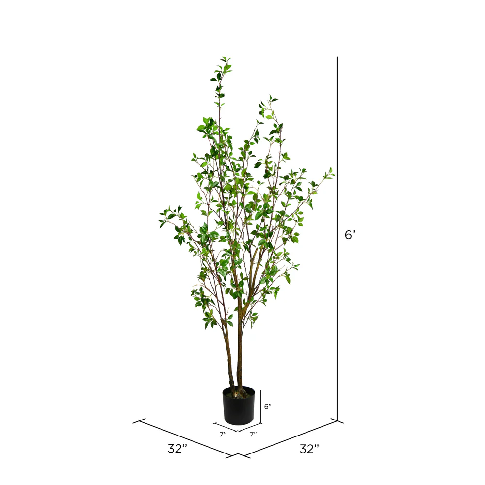 Vickerman 72