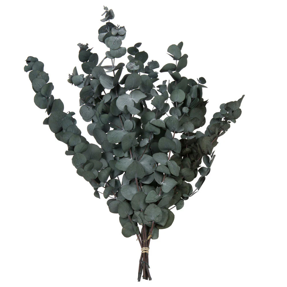 Vickerman Natural Botanicals 18-20