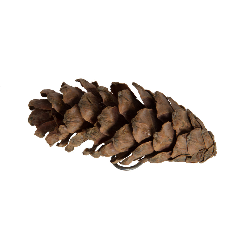 Vickerman Natural Botanicals 3.14