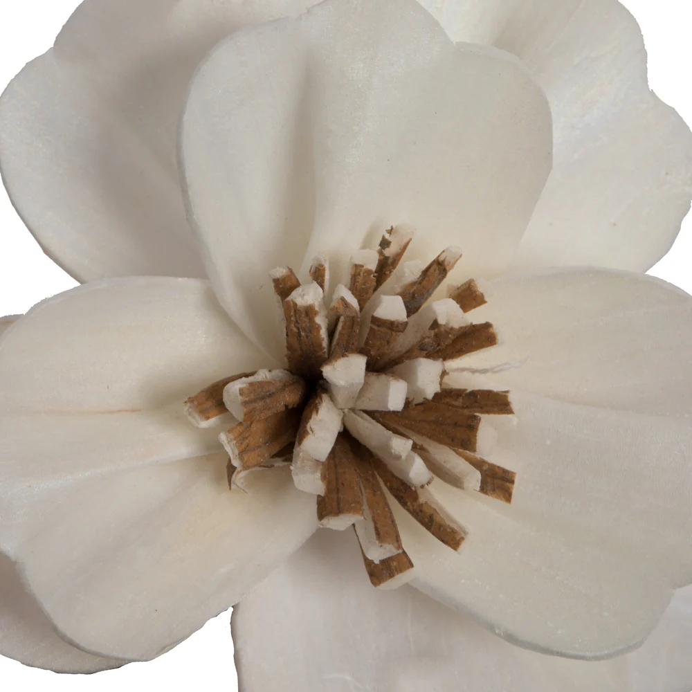 Vickerman Natural Botanicals 1.6