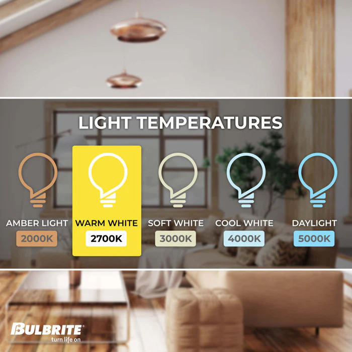 BULBRITE LED G40 MEDIUM SCREW (E26) 7W FULLY COMPATIBLE DIMMING FILAMENT LIGHT BULB 2700K/WARM WHITE 75W INCANDESCENT EQUIVALENT 2PK (776878) - Cheap-Us