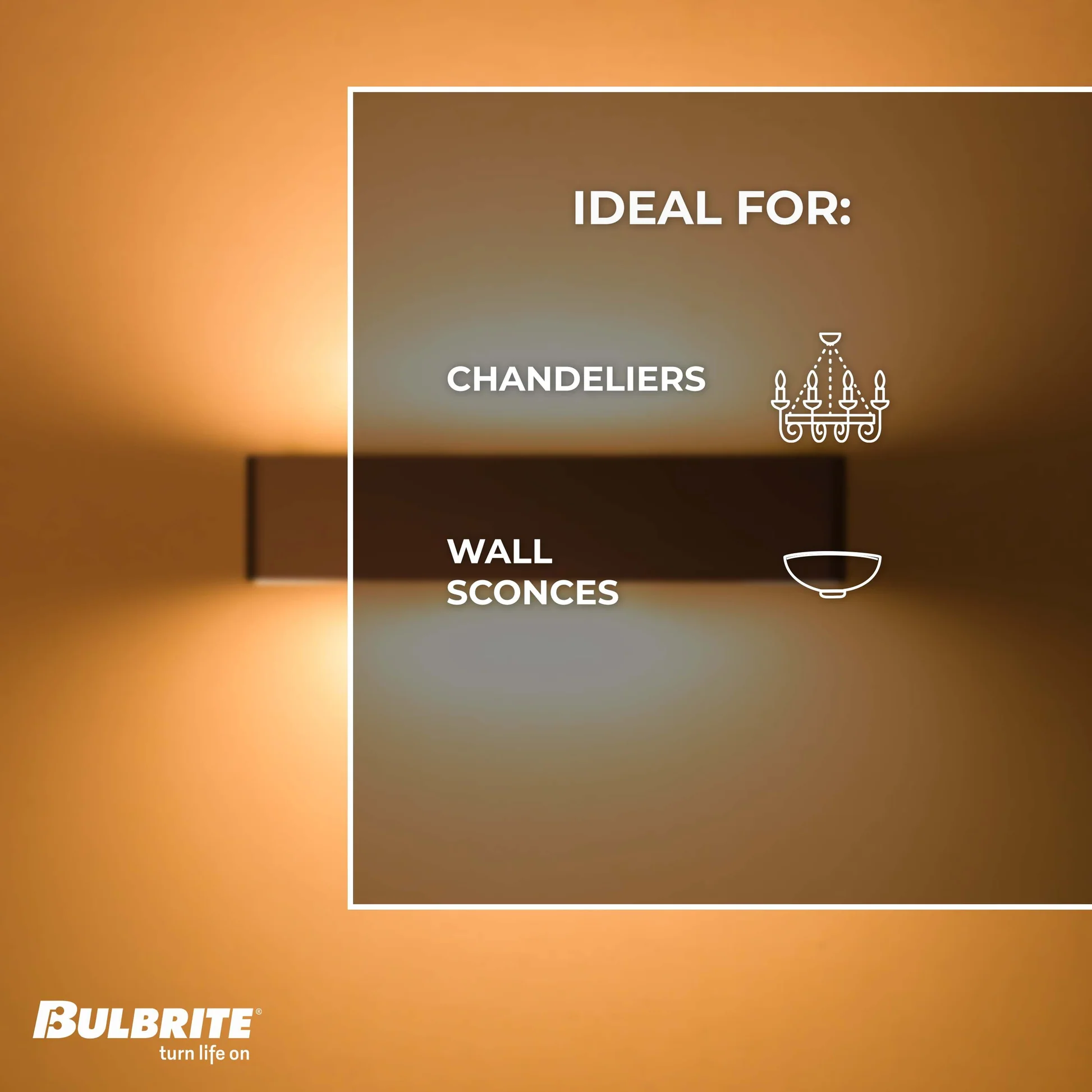 BULBRITE 5W LED T9 11