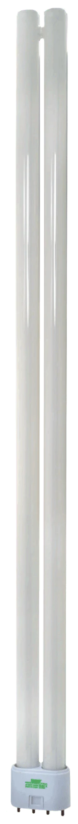 Damar F55LTT / 4P / 841 / ECO 2G11 - Cheap-Us