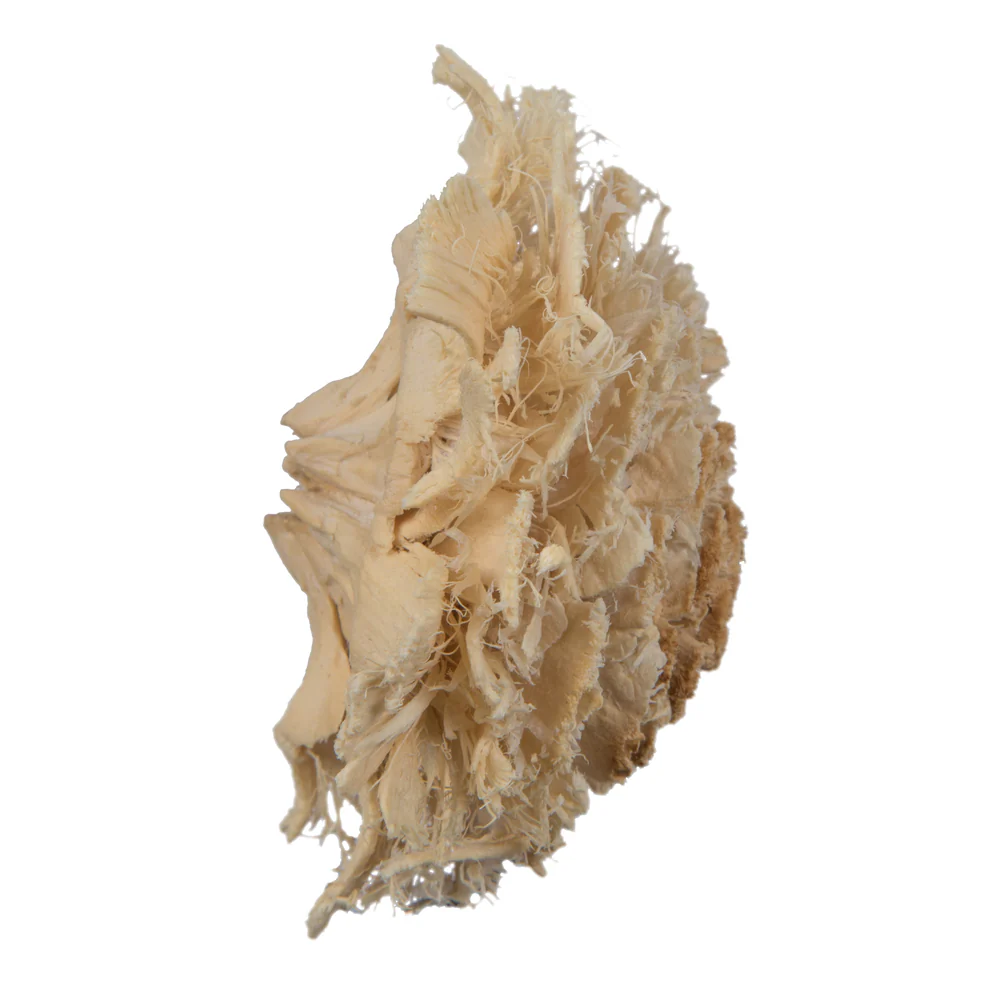 Vickerman Natural Botanicals 1.3