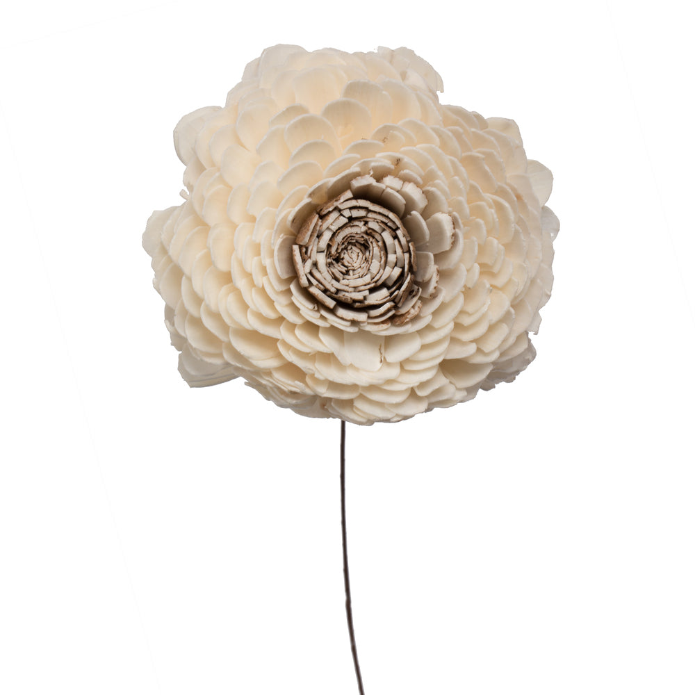 Vickerman Natural Botanicals 4