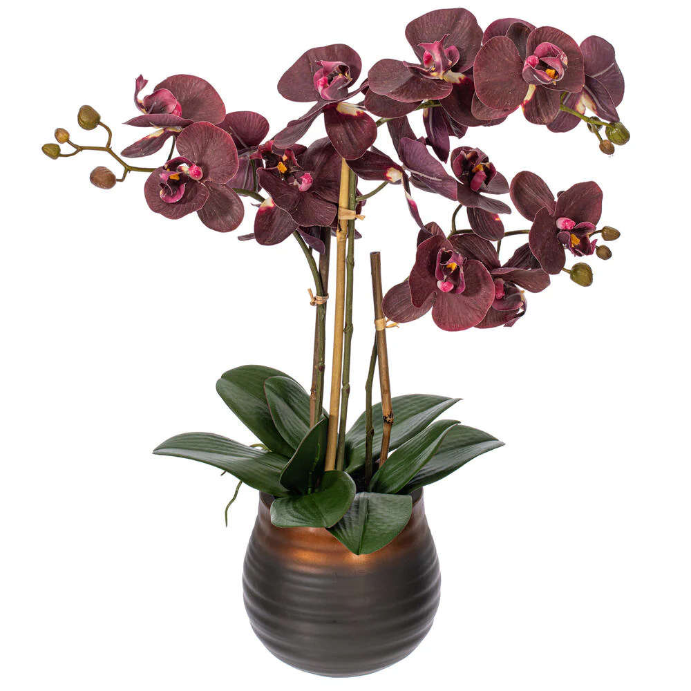 Vickerman 22